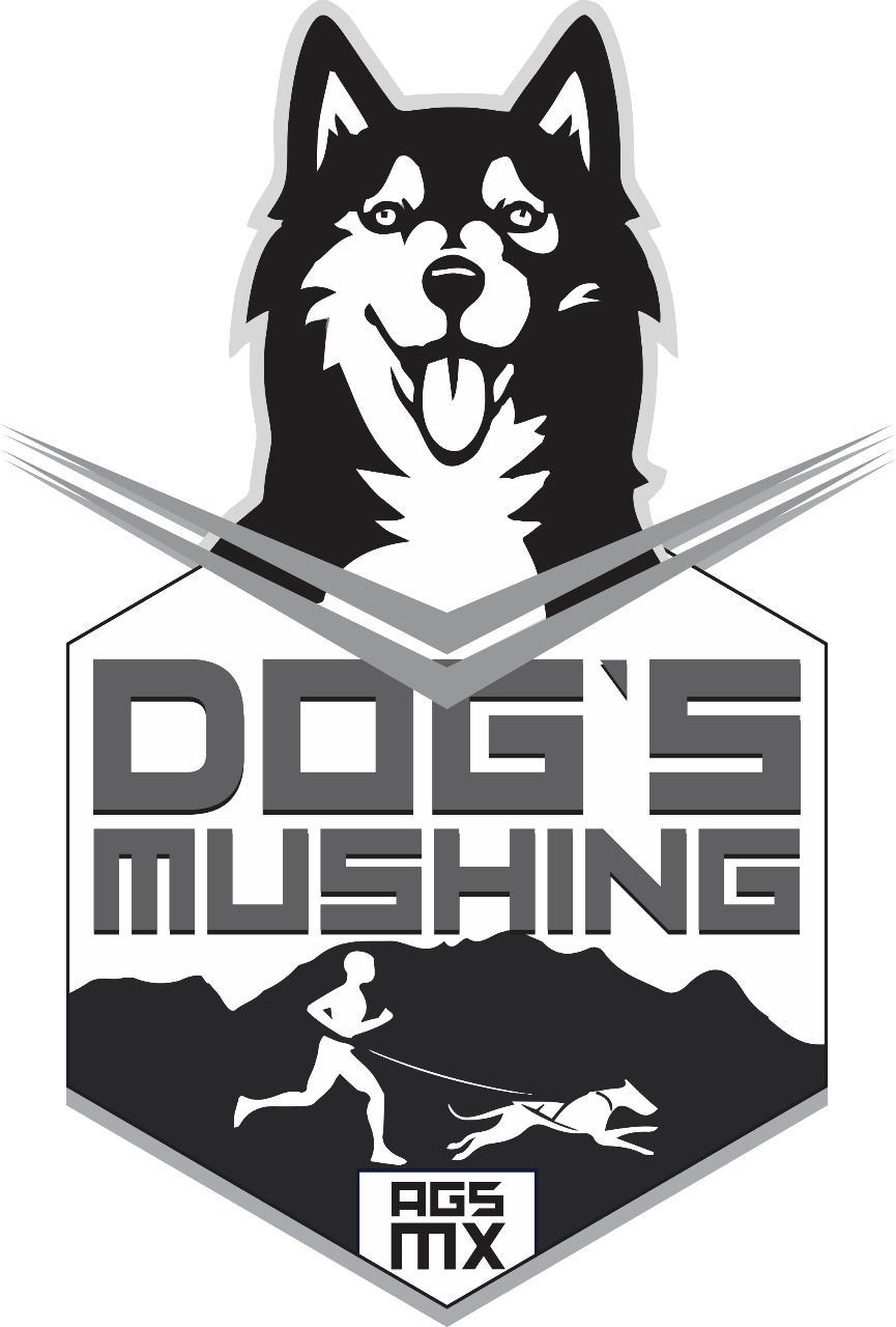 Dog Mushing Aguascalientes